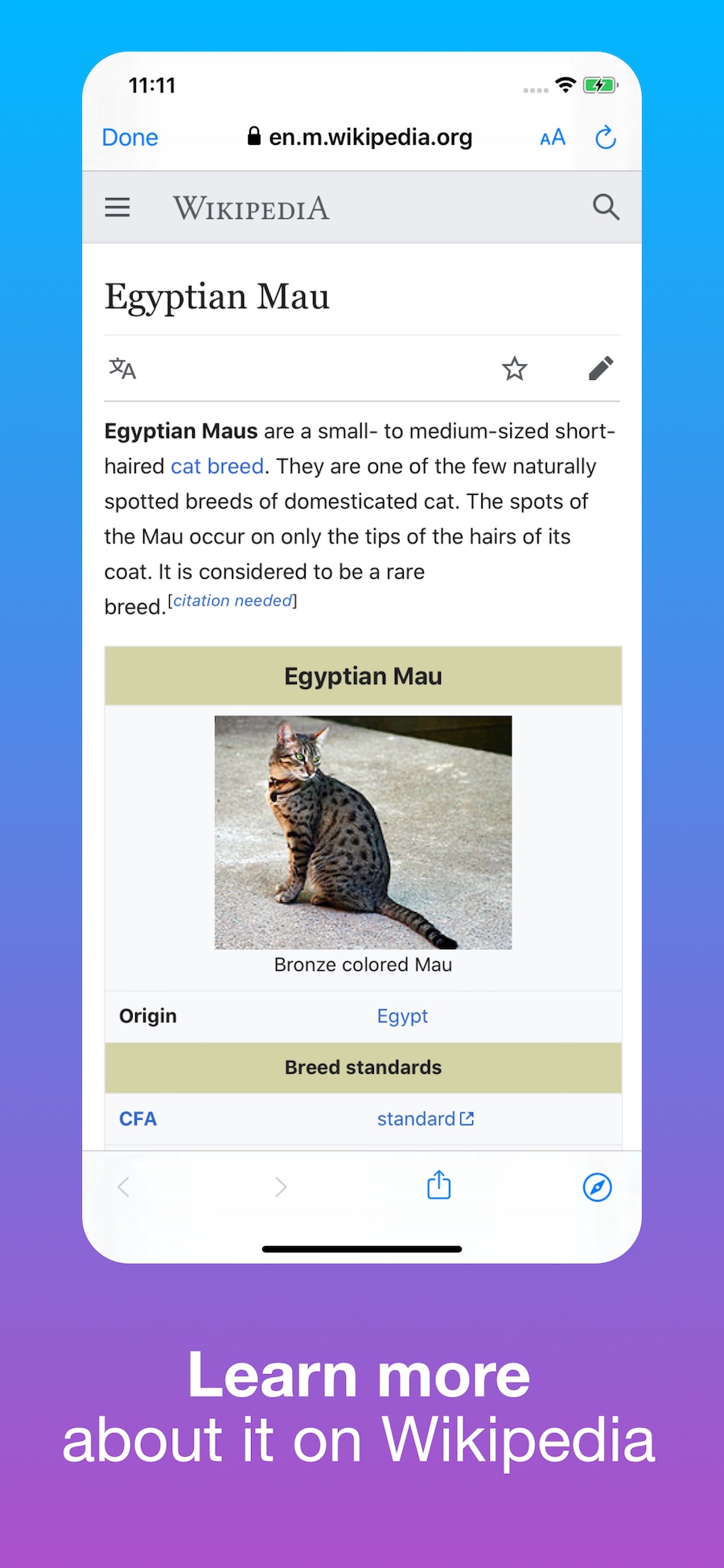 Find Cat Breed screenshot